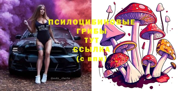 ГАЛЛЮЦИНОГЕННЫЕ ГРИБЫ Армянск
