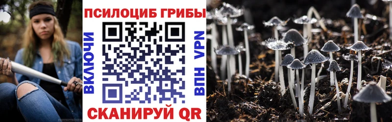 Галлюциногенные грибы Magic Shrooms  KRAKEN маркетплейс  Новопавловск 
